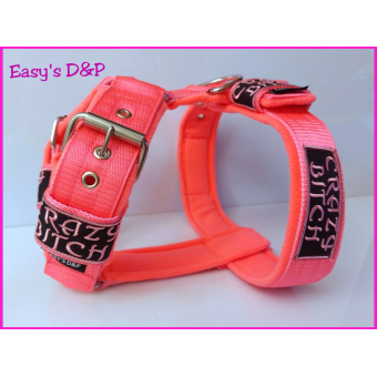 Tuig neon roze crazy bitch