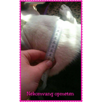 Halfcheck zwart zilver bling