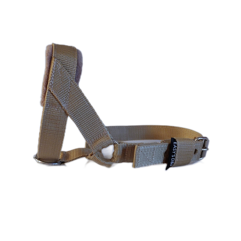 Hoofdhalster hond beige