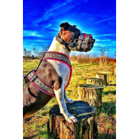 Tuig zwart Jack Skellington 