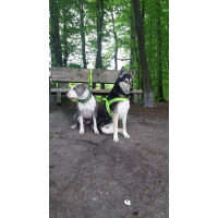 T tuig neon geel blauw camouflage 