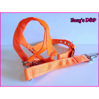 Gentle leader neon oranje 