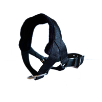 Love luck skull kleur keus 2,5 cm hb