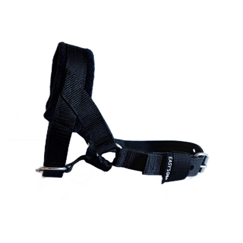 Hoofdhalster hond zwart