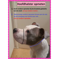 Hoofdhalster baby roze skull bloemen zwart