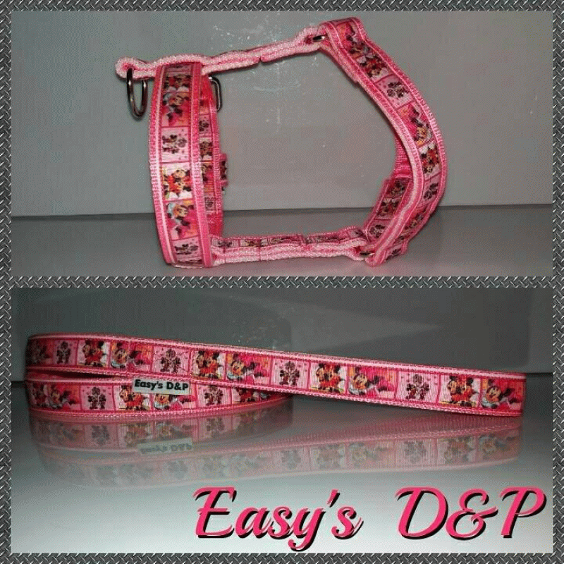 Tuig neon roze Mickey mouse 