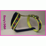 Tuig regenboog veel kleur neon geel