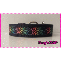 Tuig regenboog veel kleur neon geel