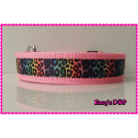 Tuig regenboog veel kleur neon geel