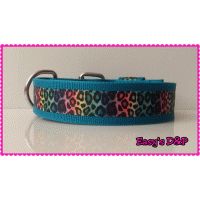 Tuig regenboog veel kleur neon geel