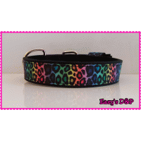 Tuig regenboog veel kleur neon geel