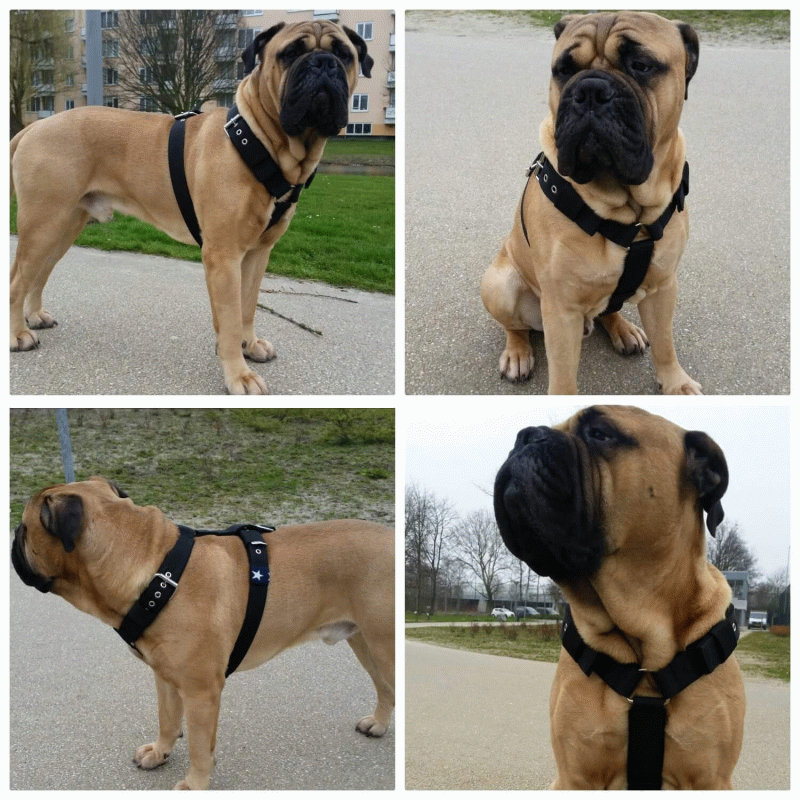 Tuig zwart kleur keus