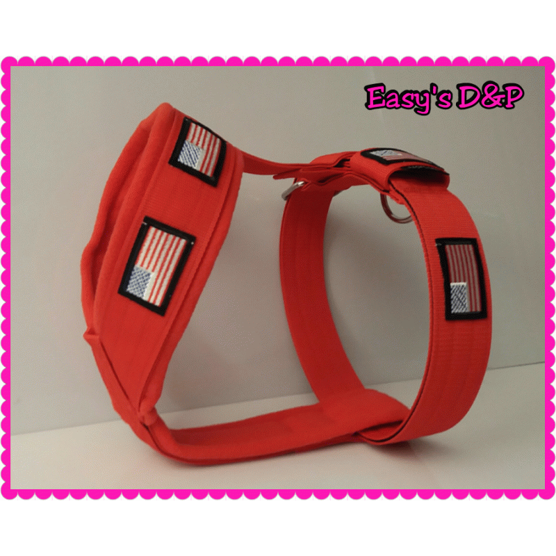 Tuig Amerikaanse vlag rood patch