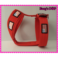 Tuig Amerikaanse vlag rood patch