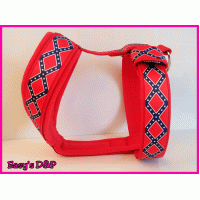 Tuig American rebel flag rood 