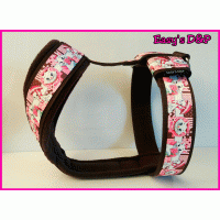 Tuig schattig katje bruin 