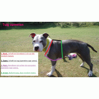 Tuig skull kruis neon geel