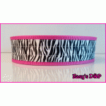 Zebra fuchsia hb