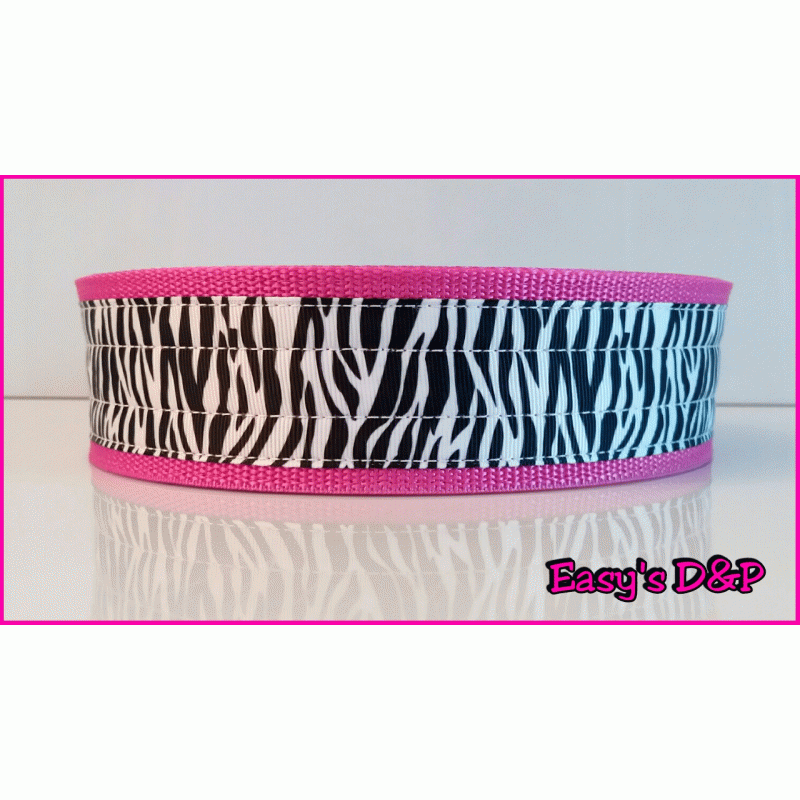 Zebra fuchsia hb
