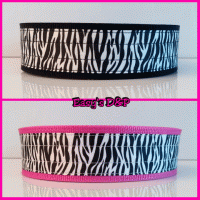 Zebra fuchsia hb