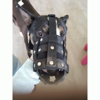 Muilkorf donker blauw biothane