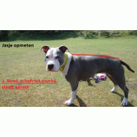 Jasje camouflage met donker petrol fleece