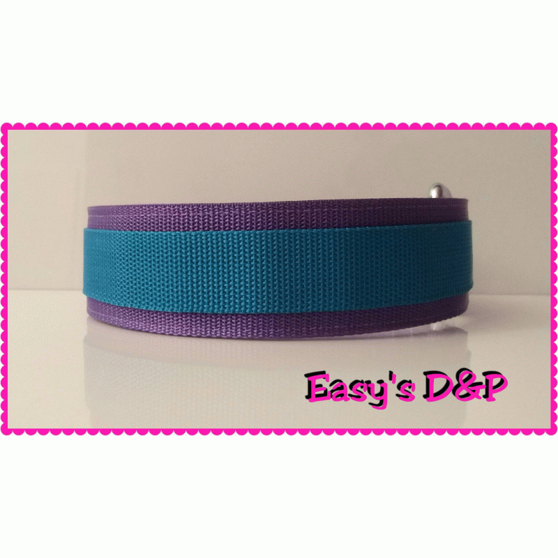 Paars met turquoise hb