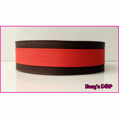 Bruin met rood halsband