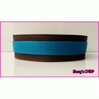 Bruin met turquoise halsband