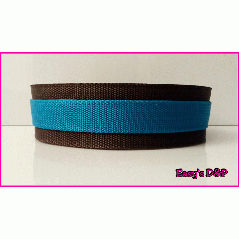 Bruin met turquoise halsband