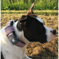 Grijs met bling baby roze hb