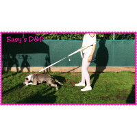 Heupgordel powerwalks neon geel