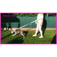 Heupgordel powerwalks neon roze 