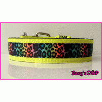 Dierenprint kleuren kleur keus hb