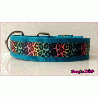 Dierenprint kleuren kleur keus hb