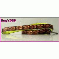 Lijn skull stelletje kleur keus 