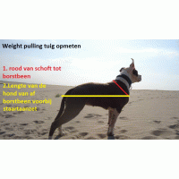 Wp tuig 1 laag nylon met print breed 