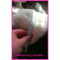 Hb baby roze veel spikes 5cm 