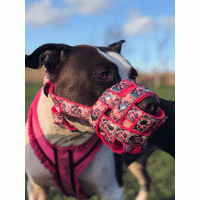 Muilkorf neon roze skull kruis