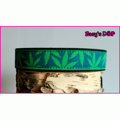 Wietplant zwart 2.5 cm hb