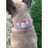 Leeuwe koning baby roze hb