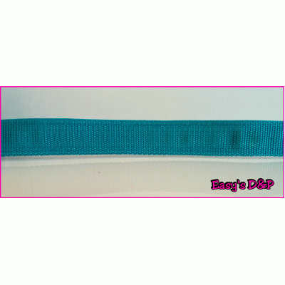 Sliplijn turquoise 