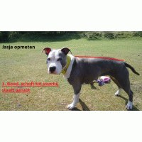 Jasje camouflage met donker petrol fleece