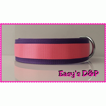 Paars met neon roze hb