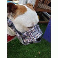 Muilkorf grijs skull kruis