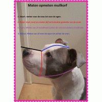 Muilkorf neon roze met panter print