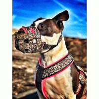 Muilkorf neon roze met panter print