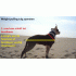 Wp harness 2 lagen nylon 2 kleuren 