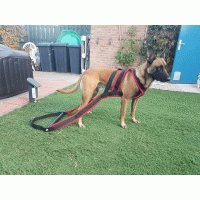 Wp harness 2 lagen nylon 2 kleuren 