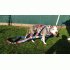 Wp harness 2 lagen nylon 2 kleuren 